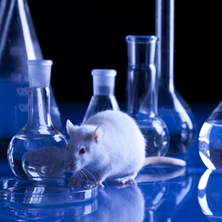 Livermore National Lab work was completed on the mouse genome as part of Laboratory efforts in comparative genomics