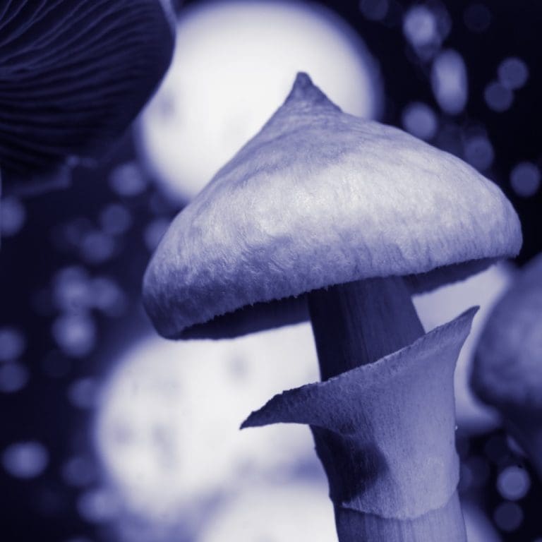 Results from single-dose psilocybin randomized clinical trial treatment for major depressive disorder published in JAMA