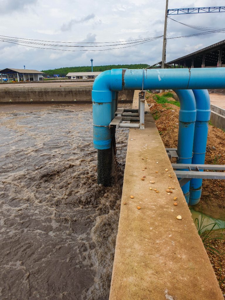 Earle B Phelps conducted series of studies on water pollution and the biochemistry of sewage and industrial wastes