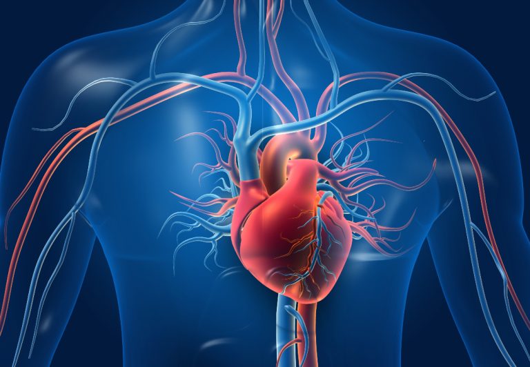 OMRF’s Dr. Petar Alaupovic created a classification and naming system for apolipoproteins