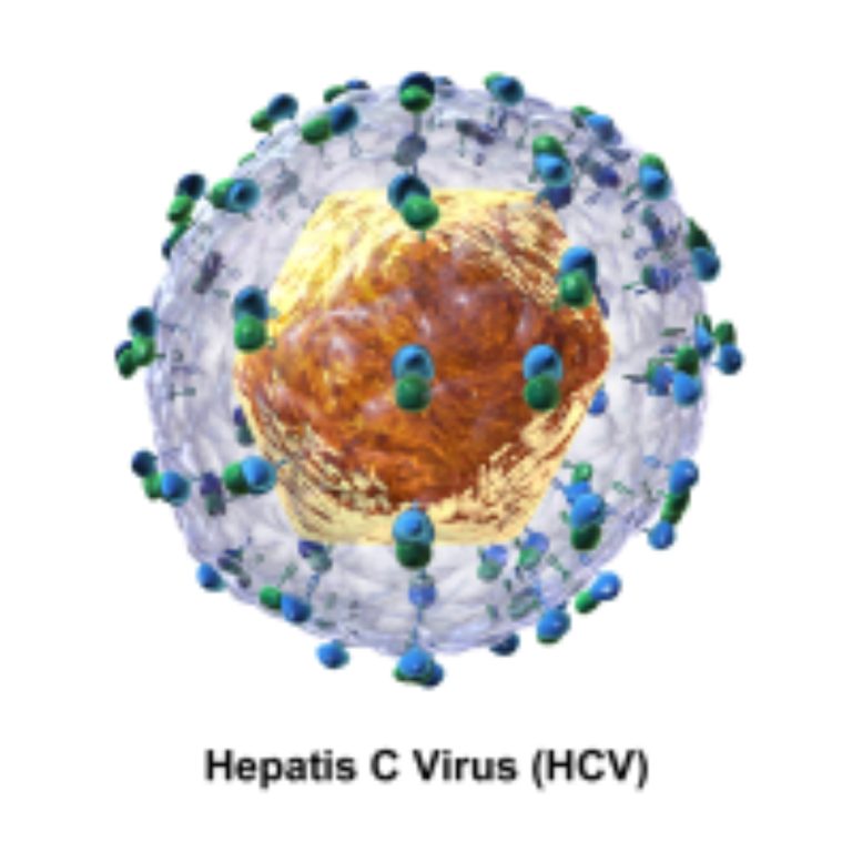 FDA approved Epclusa (Sofosbuvir/Velpatasvir) for children with Chronic Hepatitis C infection