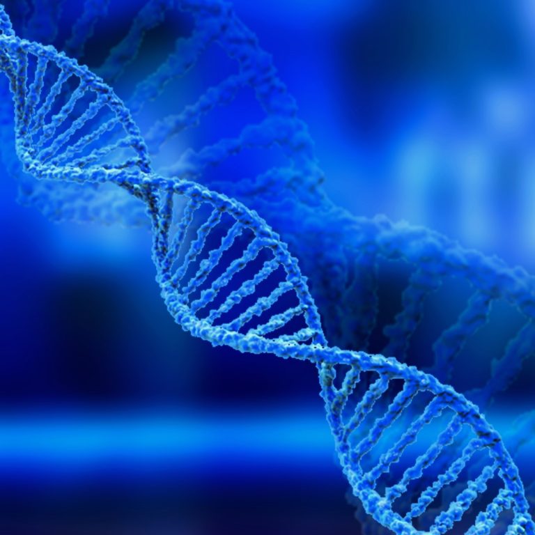 The National Institutes of Health issued guidelines for DNA splicing