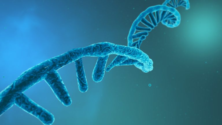 Co-discovery of microRNAs