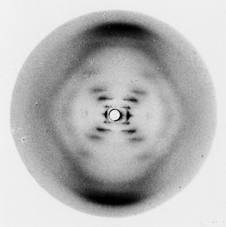 The double helical structure of DNA was revealed