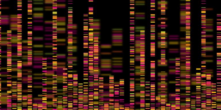 NIH researchers identified large genetic changes that contribute to dementia risk