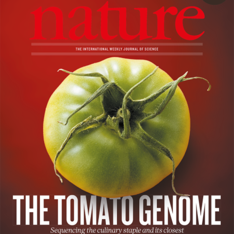 The International Tomato Genome Sequencing Project was launched