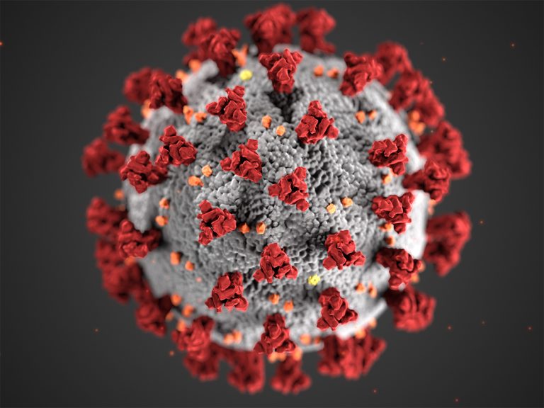 Cocrystal Pharma announced plans to advance Coronavirus program