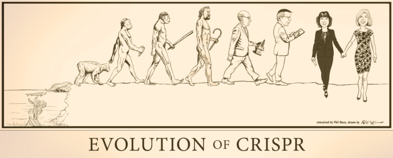 Evolution of CRISPR