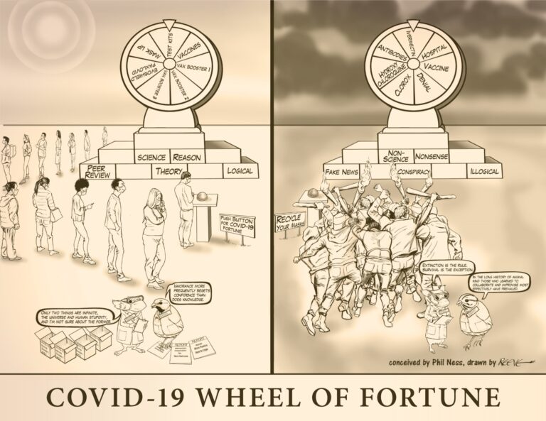 COVID-19 Wheel of Fortune