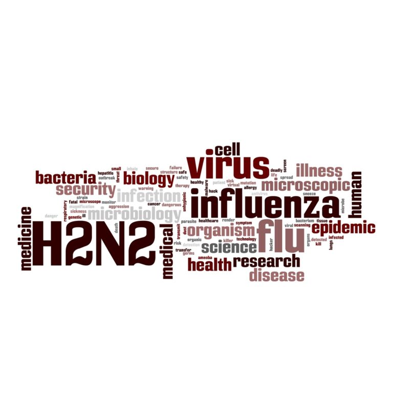 Flu vaccines helped prevent 66,500 flu hospitalizations in the U.S. during 2022 flu season
