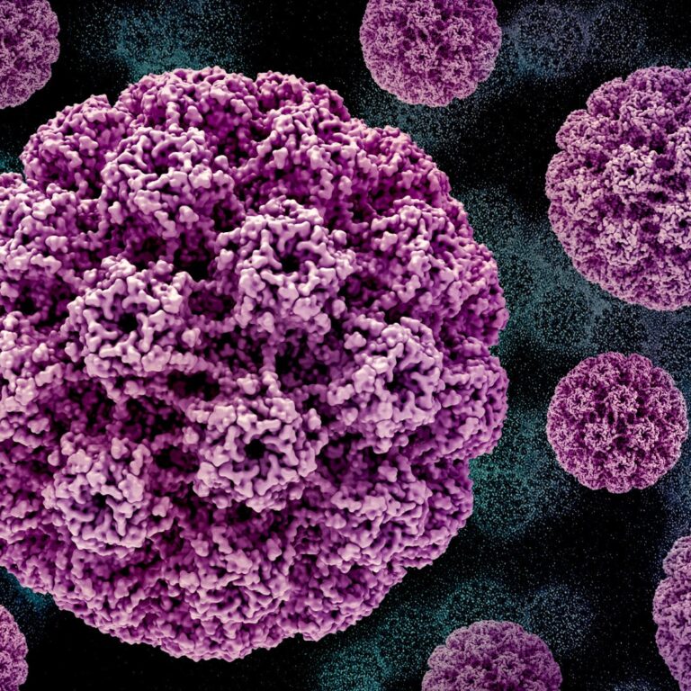 HPV vaccine study found zero cases of cervical cancer among women vaccinated before age 14