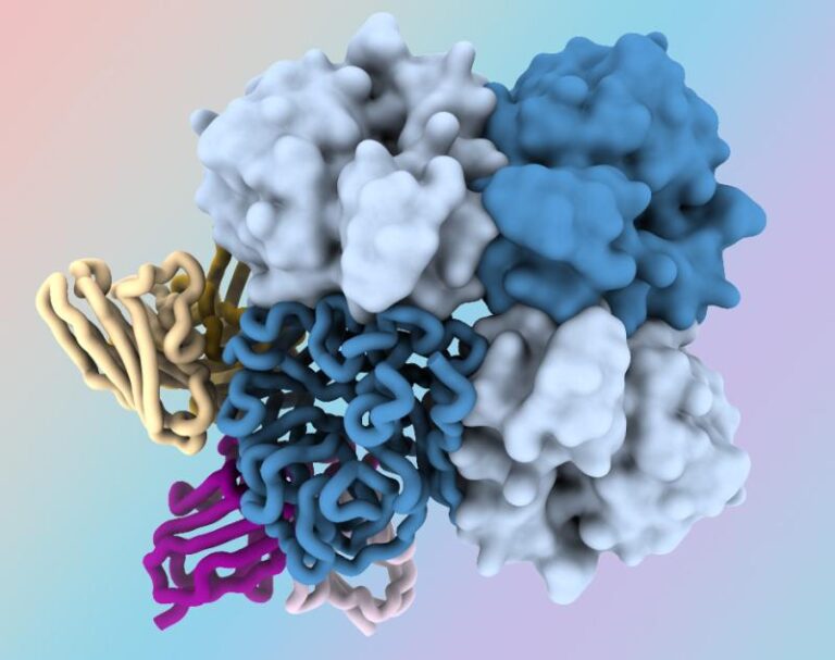 New antibodies target ‘Dark Side’ of influenza virus protein