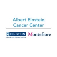 The Albert Einstein Cancer Center (AECC) was established