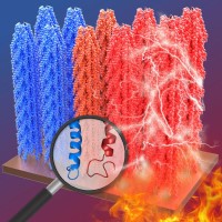 Researchers demonstrated heat-induced pyroelectricity in viruses