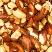 The largest-ever prostate cancer prevention study showed that Selenium and Vitamin E do not help prevent prostate cancer