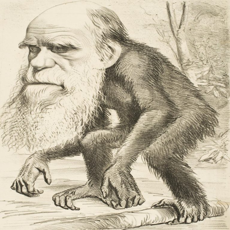 Darwin & Natural Selection