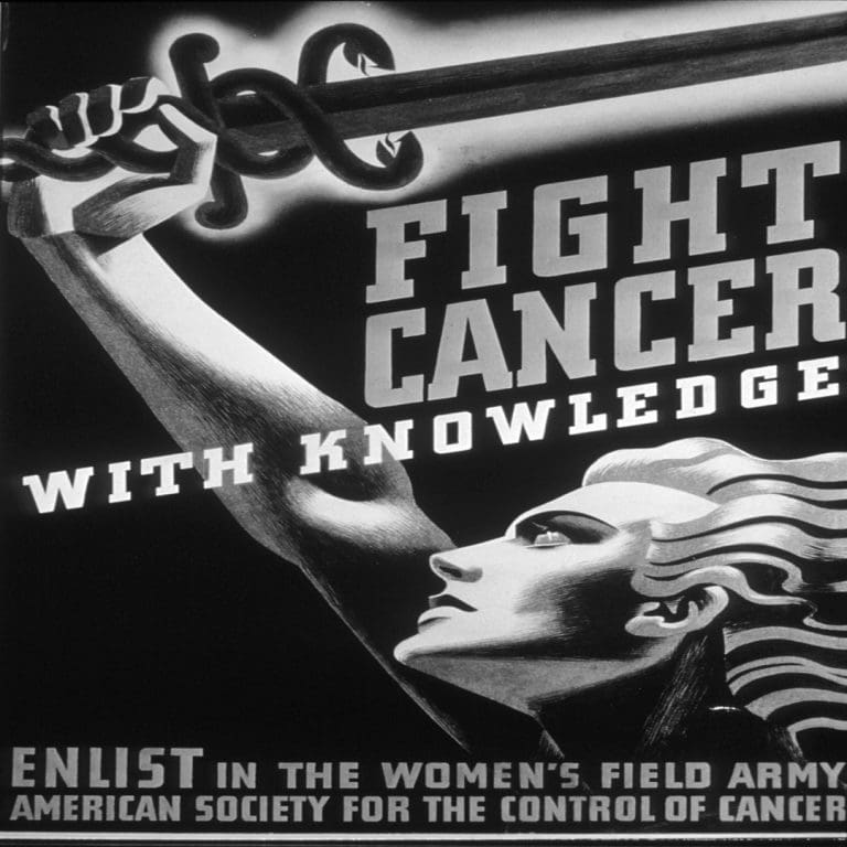 The National Cancer Institute became a division in the National Institute of Health