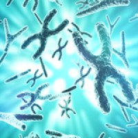 NIH researchers generated complete human X chromosome sequence