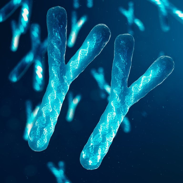 Scientists generated the first complete chromosome sequences from non-human primates