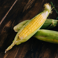 In Paris, an international Corn Show featured corn varieties from around the world