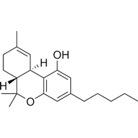 Delta-9-tetrahydrocannabinol, a psychoactive substance found in the cannabis plant, was isolated