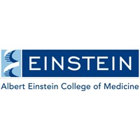 Montefiore and Einstein tested new drug combination to conquer COVID-19