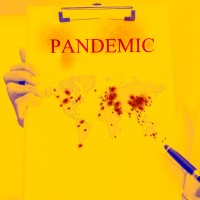 A pandemic planning framework was published by the World Health Organization