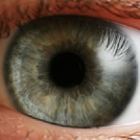 University of Iowa established the Center for Macular Degeneration