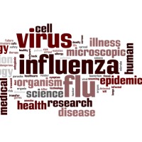 The CDC identified the novel H1N1 influenza virus