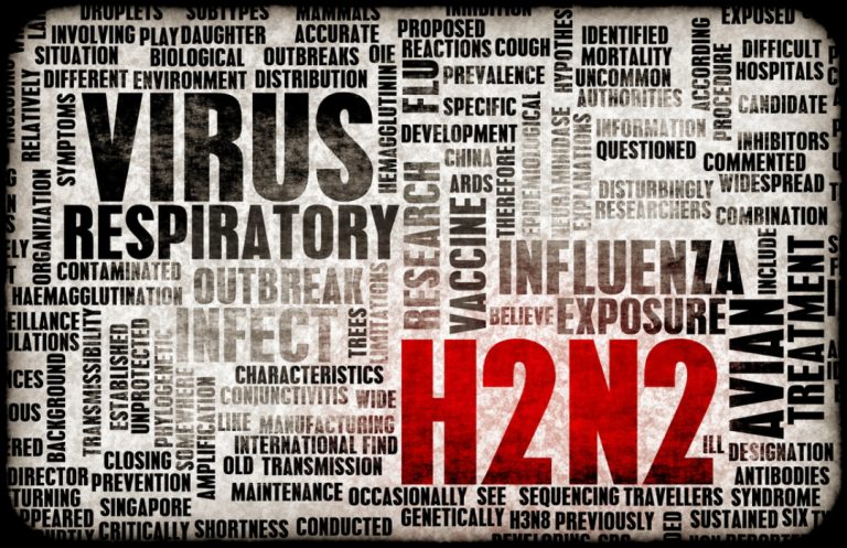 WHO announced Recommendations for influenza vaccine for the 2025 southern hemisphere influenza season