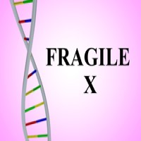 University of Wisconsin-Madison discovery revealed fragile X syndrome begins developing even before birth