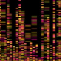 The first major DNA sequence databases were established in the US (GenBank) and Germany