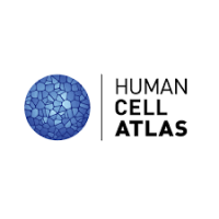 Tabula Sapiens multiple-organ, single-cell transcriptomic atlas of humans published