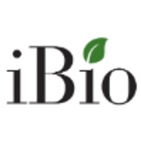 iBio advanced COVID-19 LicKM-subunit vaccine candidate, IBIO-201