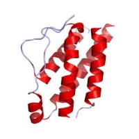 Interleukin-2 was discovered