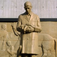 Iowa State University established the nation’s first College of Veterinary Medicine