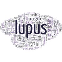 The first lupus awareness observance occurred