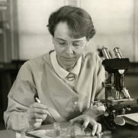 Geneticist Barbara McClintock issued report on transposable elements