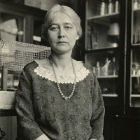 The first protein separation using electrophoresis was performed by Dr. Maud Menten