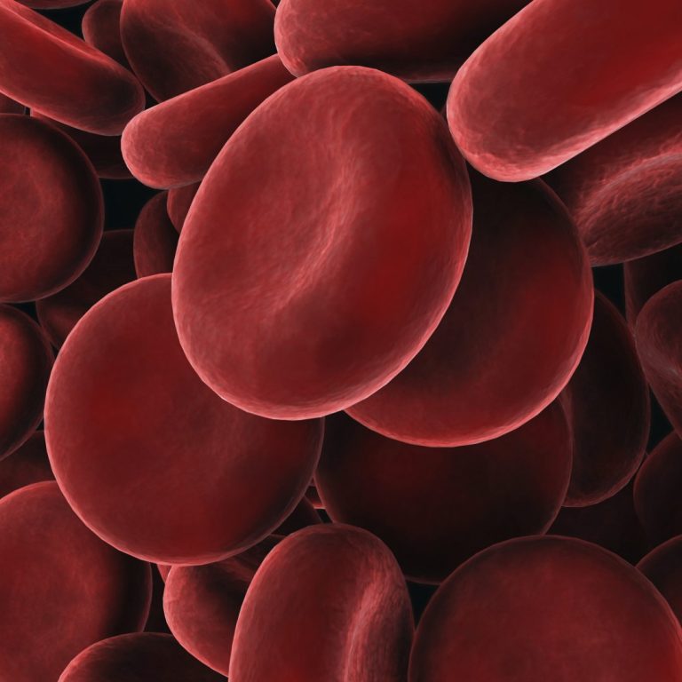 Red blood cells were first observed and described