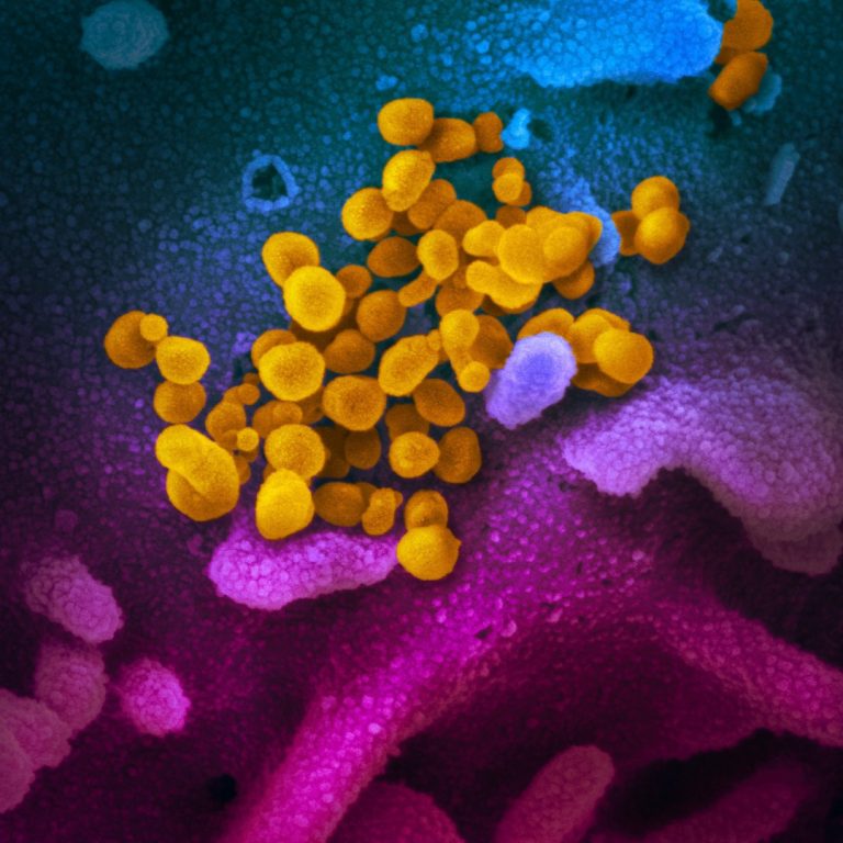 Cocrystal’s COVID-19 antiviral CDI-45205 shown to be active against SARS-CoV-2 and prominent SARS-CoV-2 variants