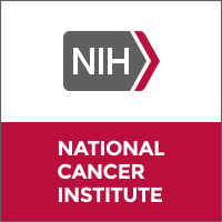 NCI scientists created a model that predicted survival of follicular lymphoma patients based on the molecular characteristics of their tumors