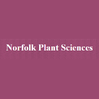 USDA issued positive Regulatory Status Review response for Norfolk Plant Sciences’ Purple Tomato