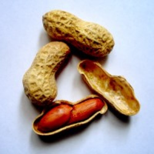 Peanut allergy treatment significantly lowered risk of life-threatening reactions in preschoolers