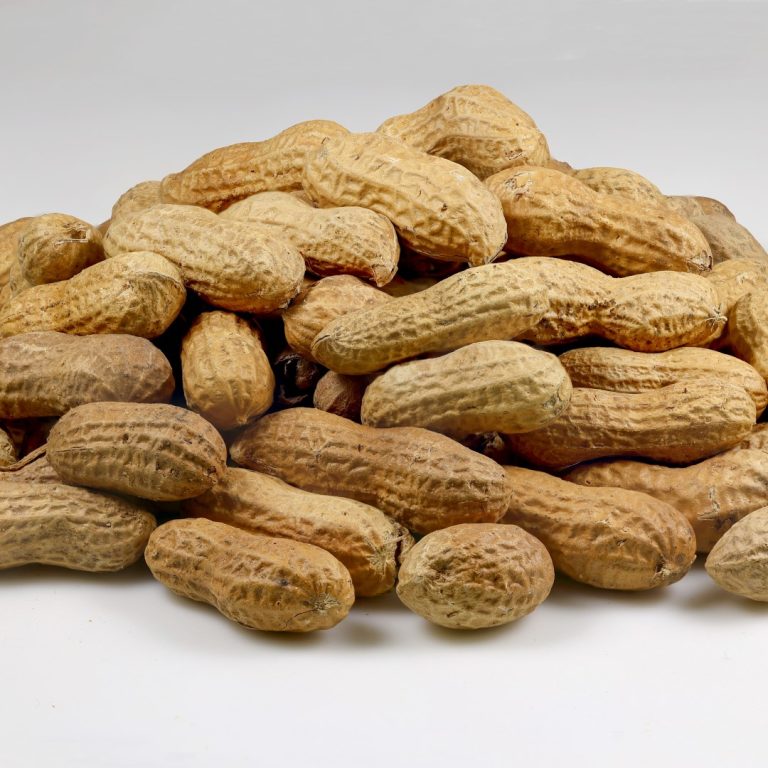 Introducing peanut in infancy Prevents peanut allergy into adolescence