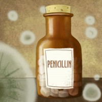 Penicillin first became mass-produced