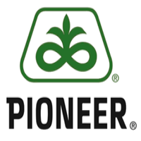 Pioneer Hi-Bred International endowed Maize Breeding Chair at Iowa State University