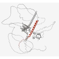 Abnormal proteins found in the spinal fluid of people with ALS and frontotemporal dementia