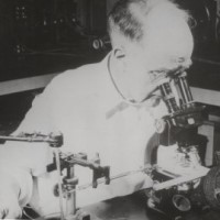 Charles W Rees developed a micromanipulator that permitted microscopic handling of amoebic cysts