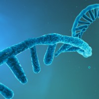 Infectious disease diagnostics was formed on the basis of detailed RNA structure of specific pathogens